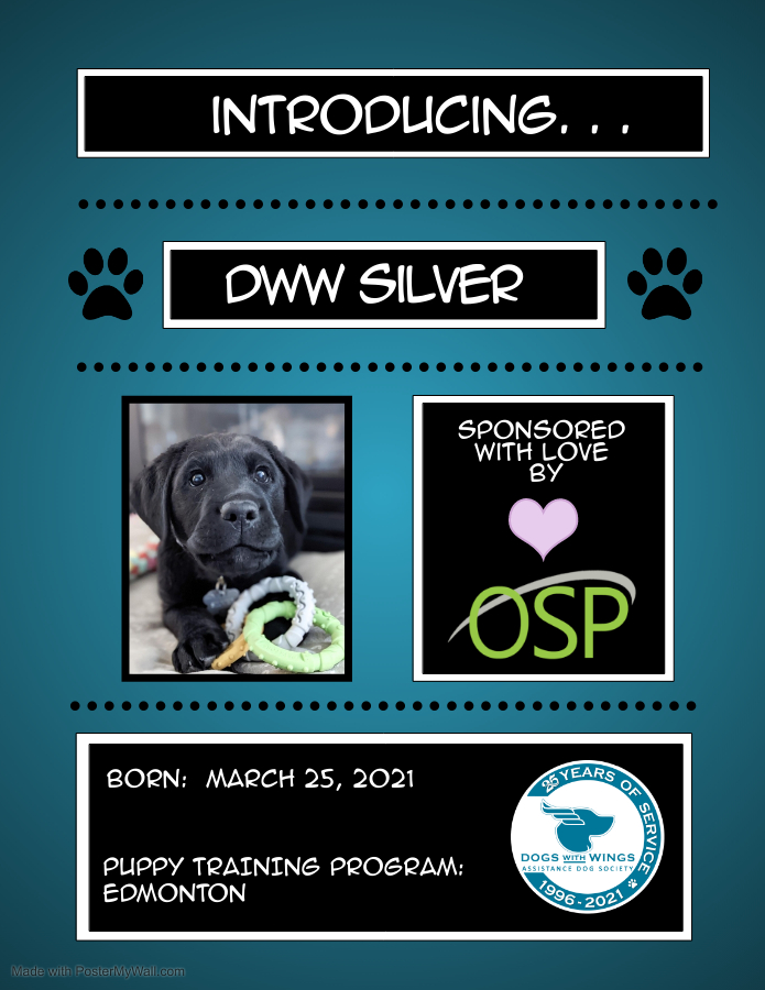 sDWW-Silver-Introduction-Poster